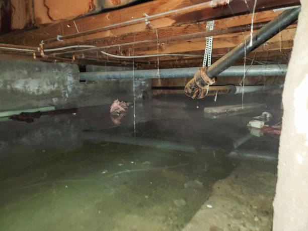 Best Residential water damage restoration  in Cottonwood, ID