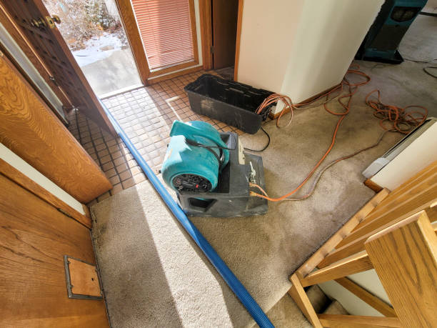 Best Water damage mitigation services  in Cottonwood, ID