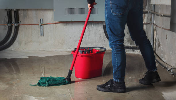 Best Emergency water damage restoration  in Cottonwood, ID