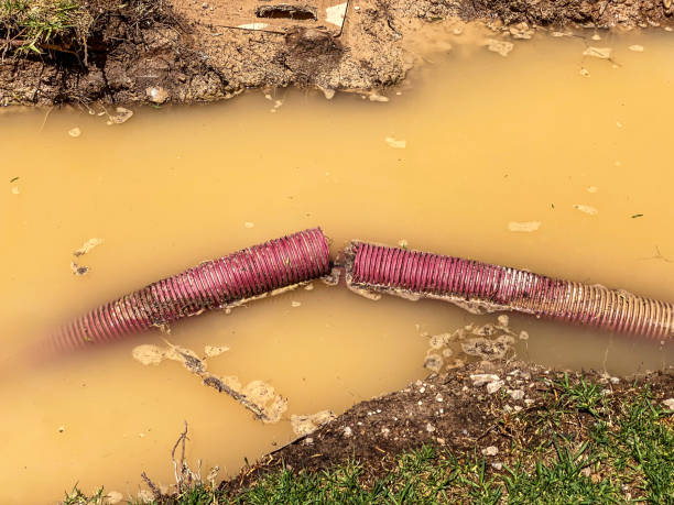 Trusted ID Water damage restoration Experts