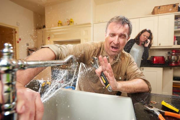 Best Flooded house restoration  in Cottonwood, ID